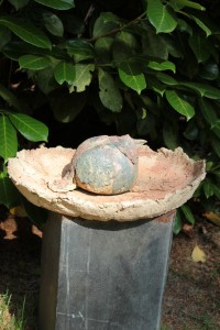 IMG_3193